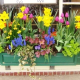 Main Street Windowsill Flower Box